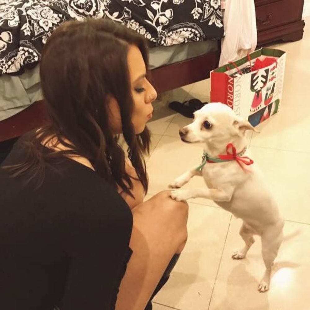 Meet your Posher, Dakota